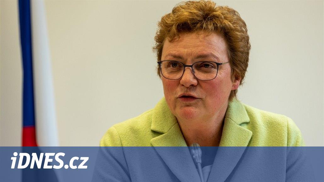Česko si nemůže vybírat, jaká pravidla bude dodržovat, řekla šéfka výboru EP