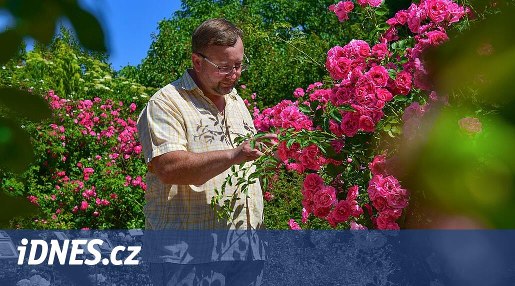 Růžová banka chrání odrůdy před zmizením. Starají se zde se o dvě stě druhů