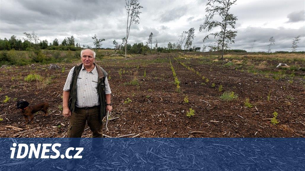 Na Libavé vysázeli 50 milionů nových stromů. Smrky přišly o nadvládu
