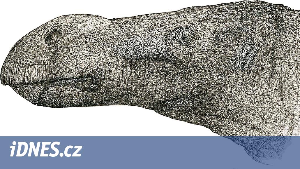 Lékař v důchodu třídil krabice muzejních kostí, objevil nový druh dinosaura